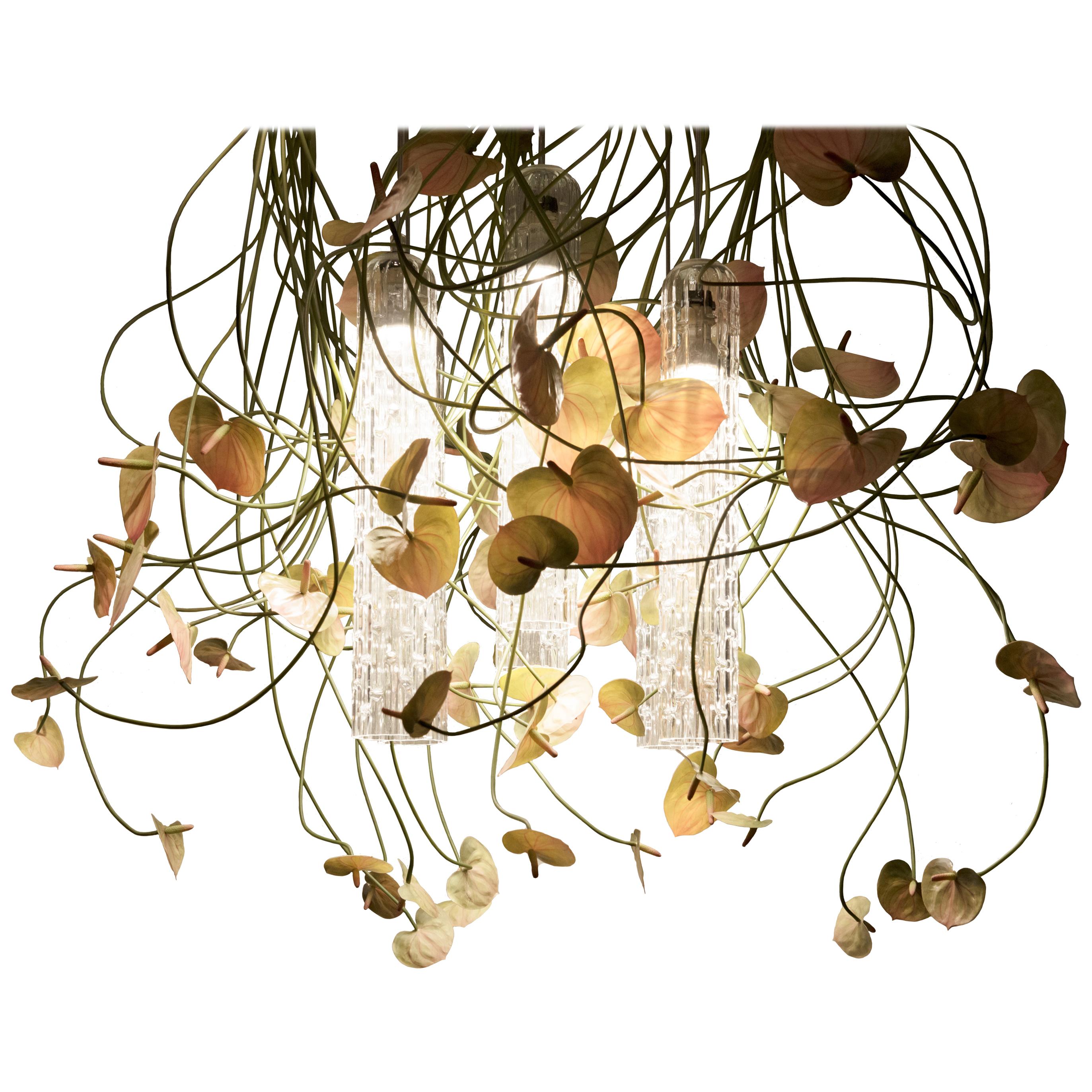 Flower Power Anthurium Chandelier, cm h 80 65x65, Italy For Sale