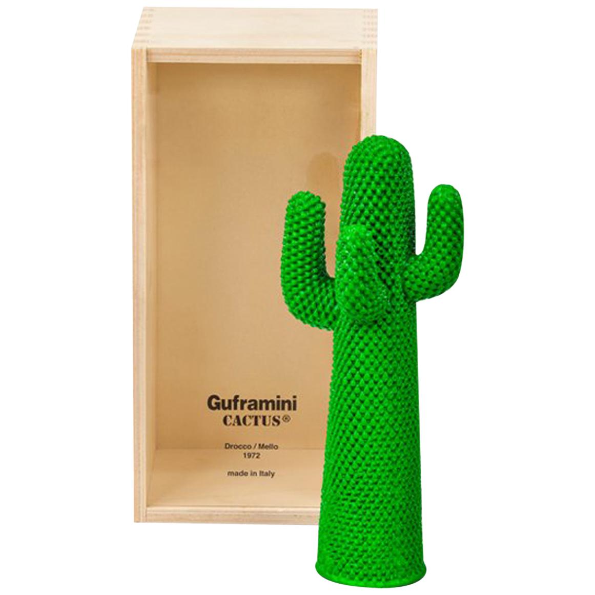 Cactus miniature GUFRAMINI de Drocco & Mello en vente