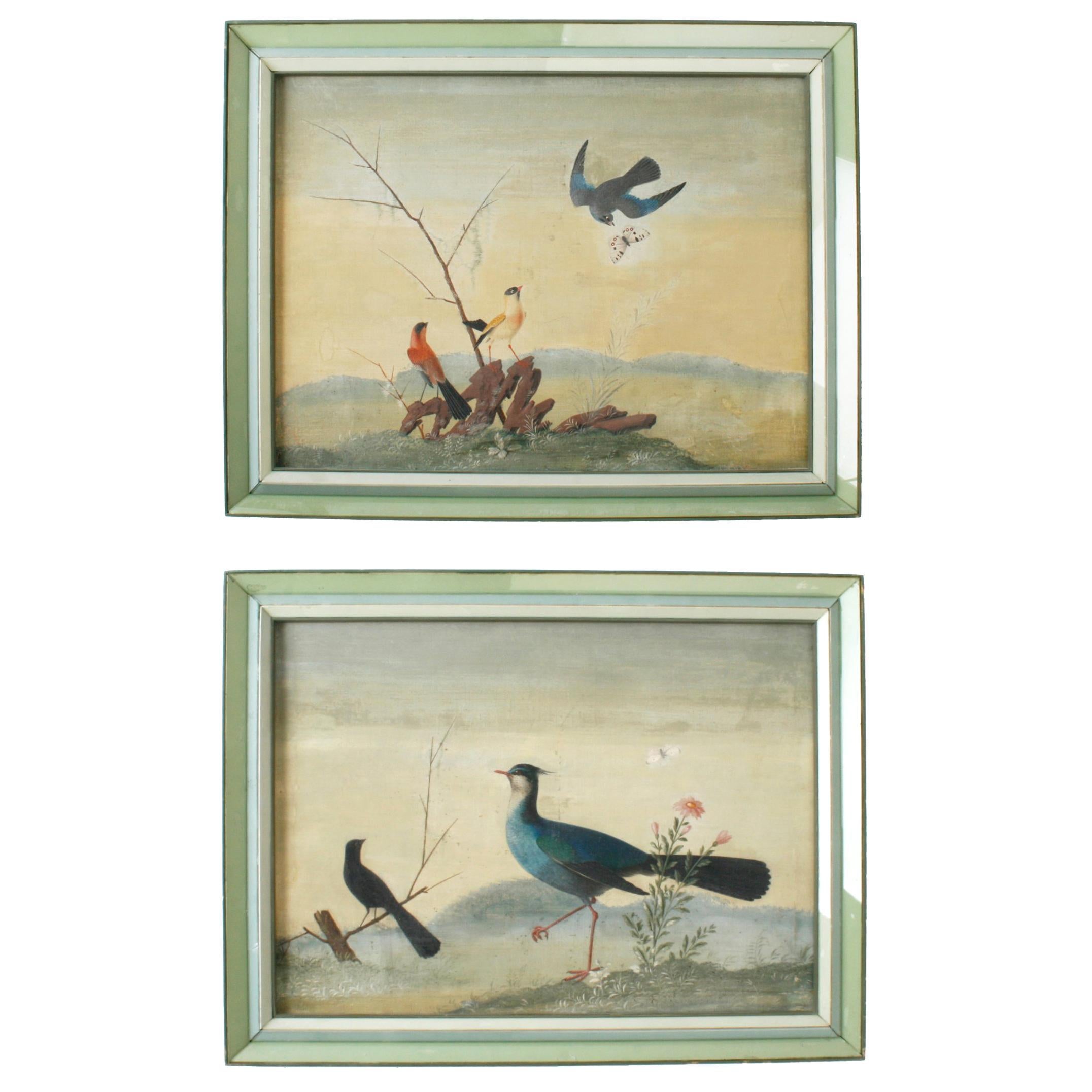 Chinese Export Oil Paintings of Birds in Glass Veneer Frames, 19th Century