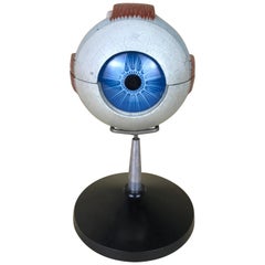 1960s Vintage Italian Anatomical Human Left Eye Model in Plastic by Paravia