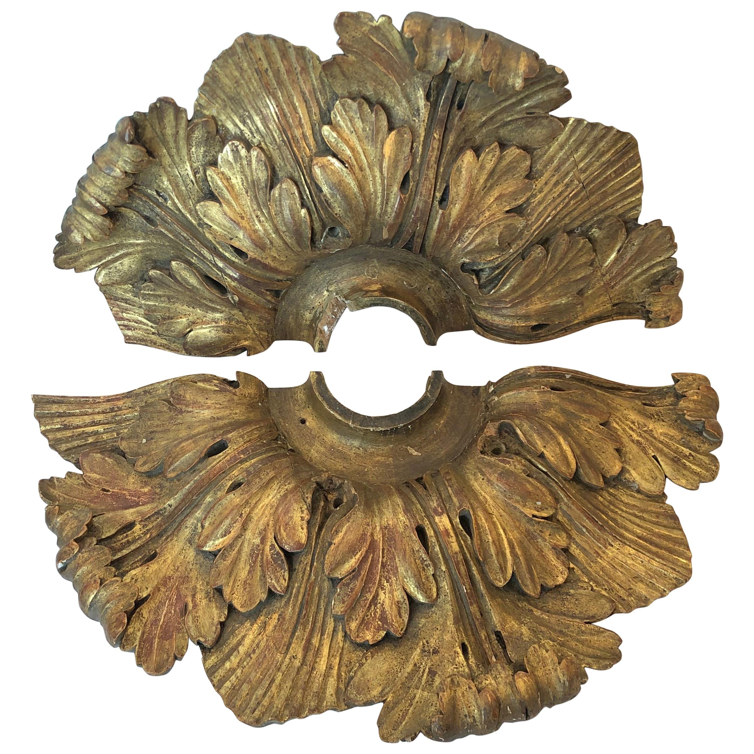 Pair of 18th Century Carved Wood Gold Leaf Fan For Sale