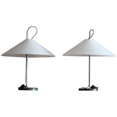 Enzo Mari and Giancarlo Fassina Aggregato Table Lamps