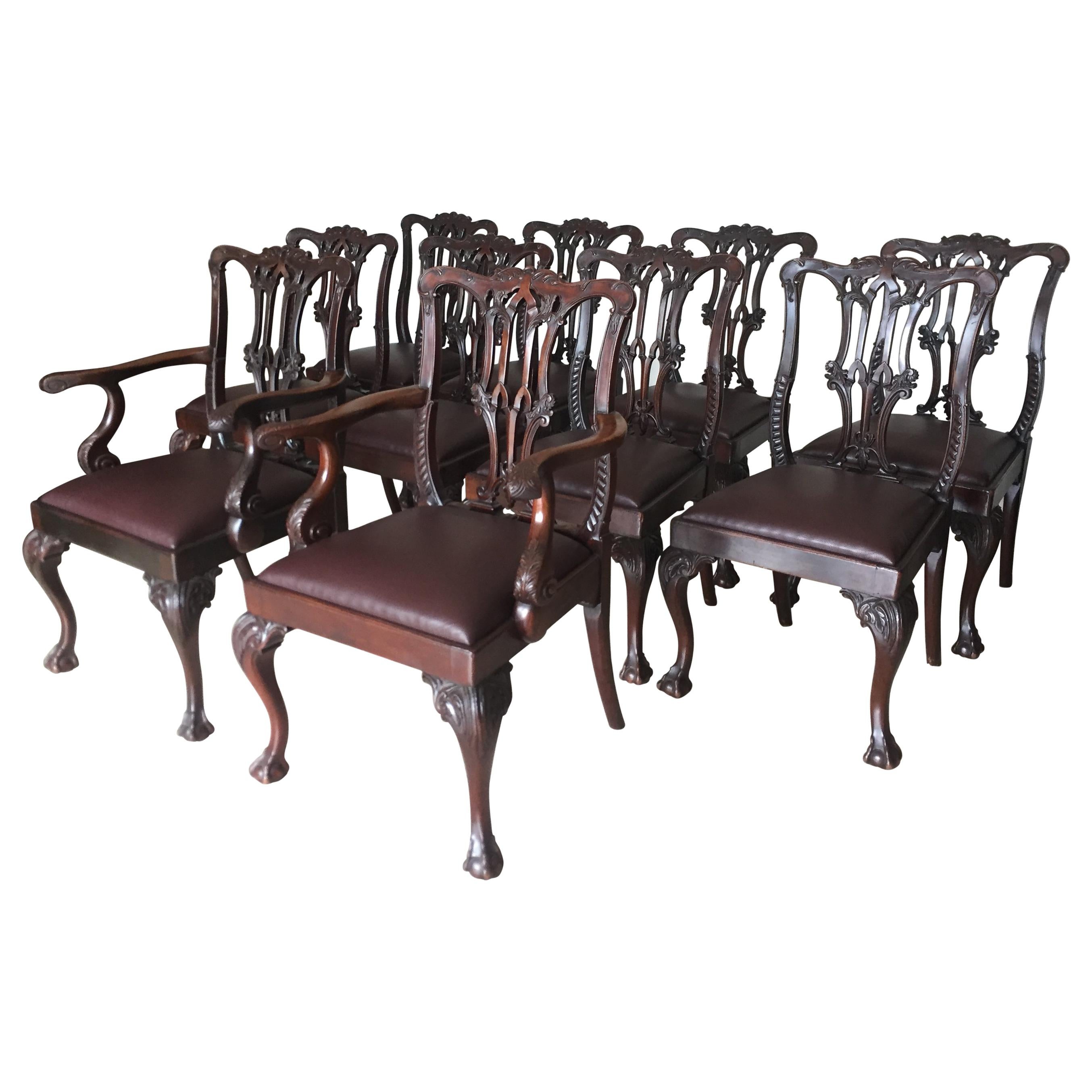 Chippendale Ball & Claw Mahogany Wood Dining Armchairs and Chairs, 19th Century For Sale