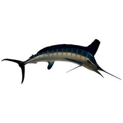 Marlin Skin Mount Taxidermy Fish 7
