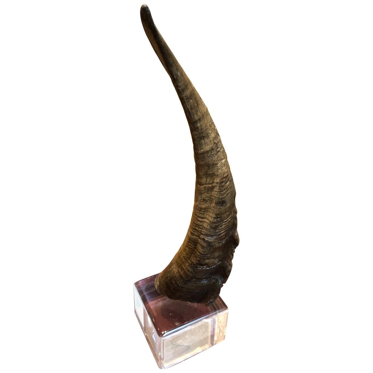 African Horn on Lucite after Karl Springer
