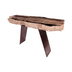 Table console:: forme organique naturelle:: bois pétrifié avec base en métal