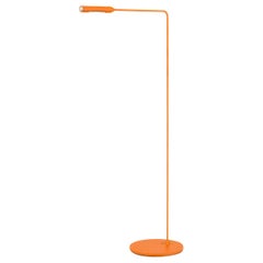 Orange Sonstige Beleuchtung