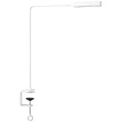 Lumina Flo Table Lamp with Clamp in Matte White by Foster+Partners