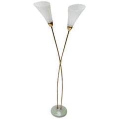 Italian Brass Floor Lamp with Two Opaline Glass Shades, 1950s