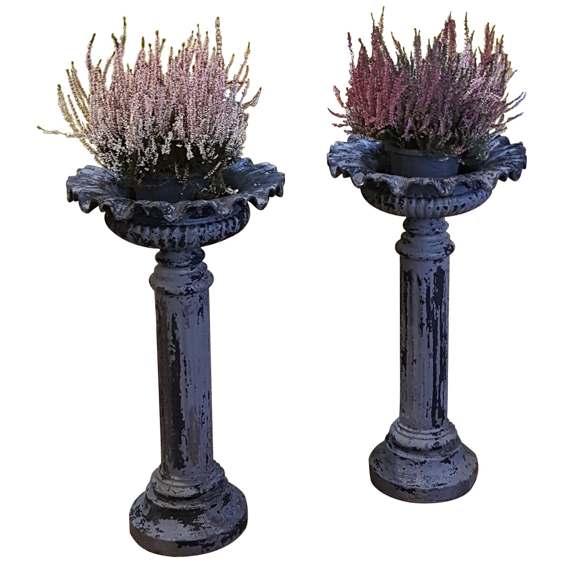 Pair of Victorian Cast Iron Planters