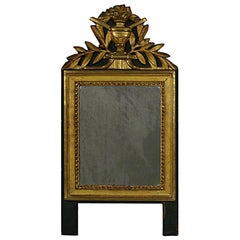 Small French Louis XVI Style Giltwood Mirror, 19th Century