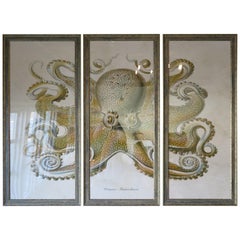 Octopus Gamochonia Print Triptych