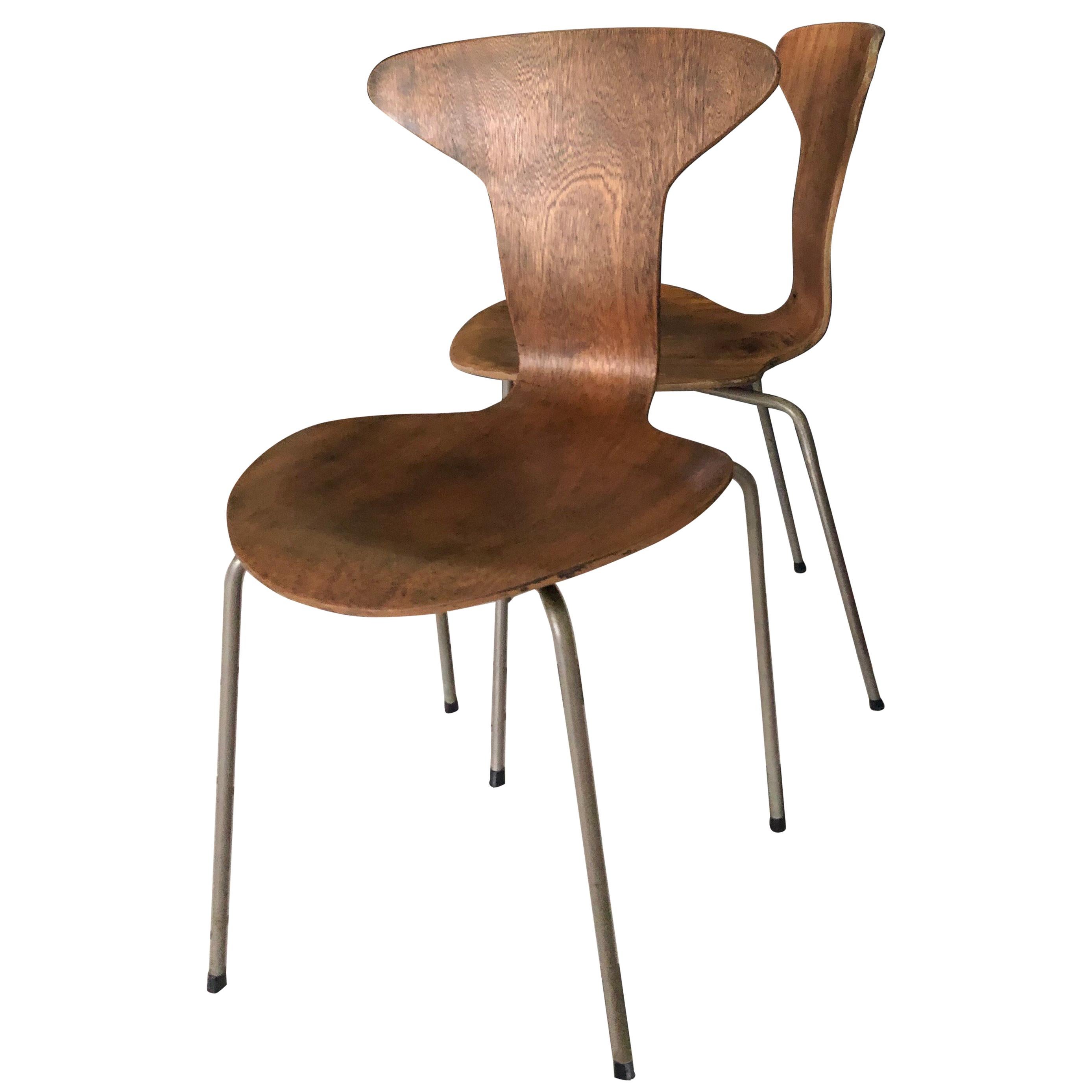 Mosquito Chairs by Arne Jacobsen