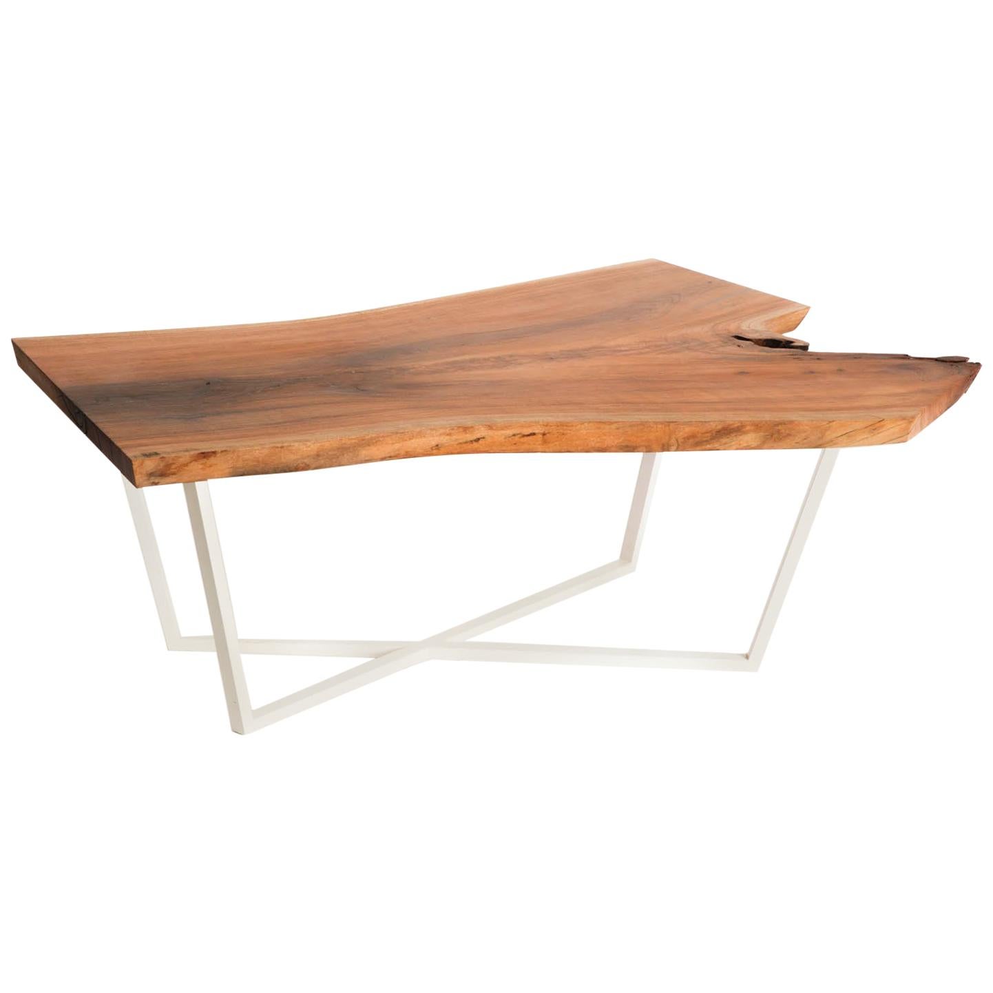 Live Edge Cherry Slab Wooden Coffee Table with Modern White Steel Base