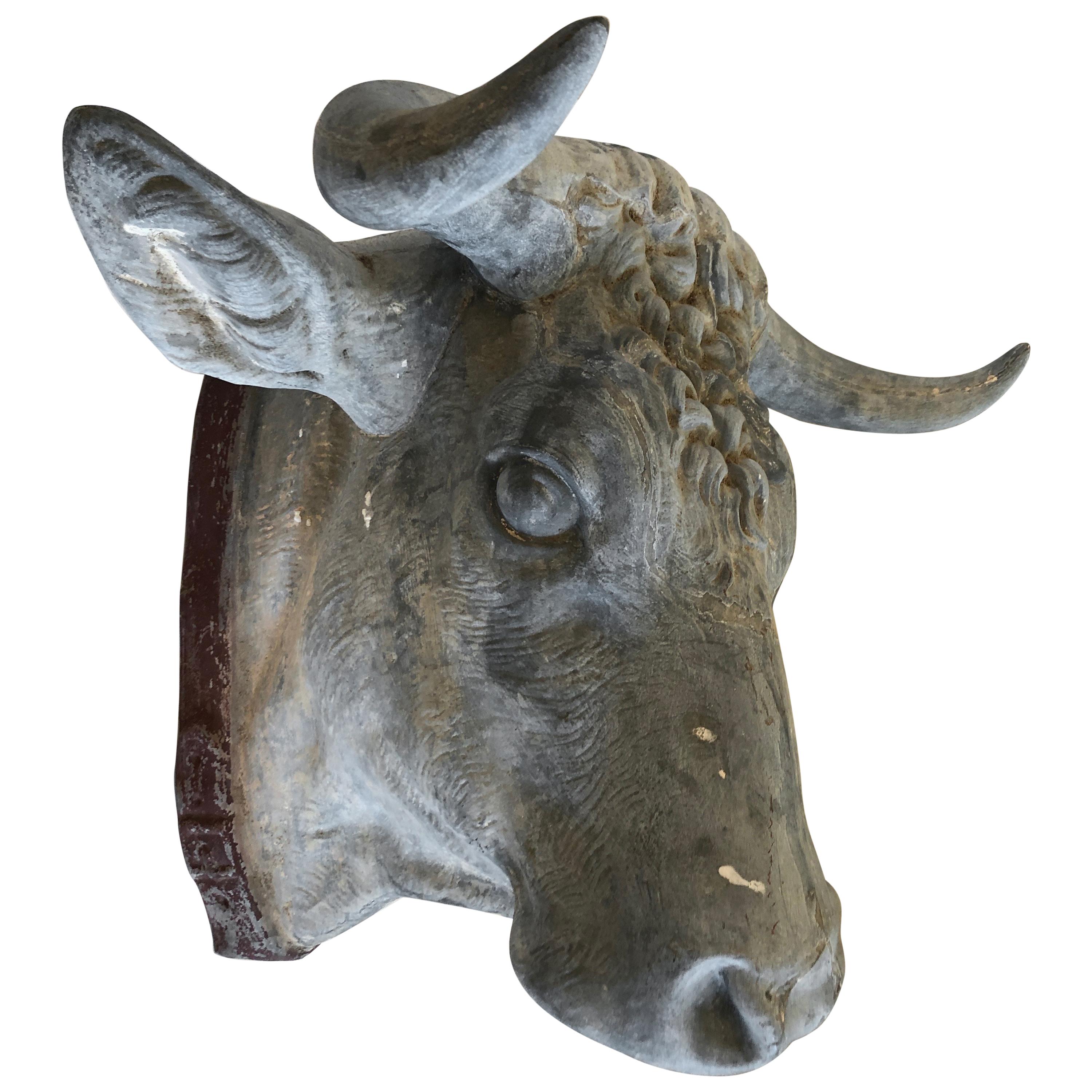 Amazing Rare 19th Century Zinc Bull Head