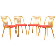 1970s Set of Four Beech Dining Chairs by Antonín Šuman for Interiér Praha