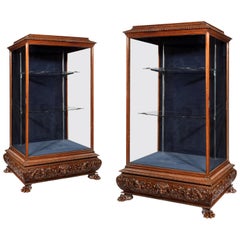Magnificent Pair of 19th Century Display Cabinets