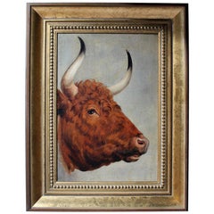 Antique 19th Century English School Study of a Red Poll Bull