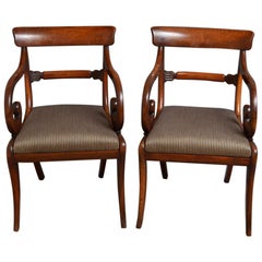 Pair of Regency Carver Chairs in Mahogany