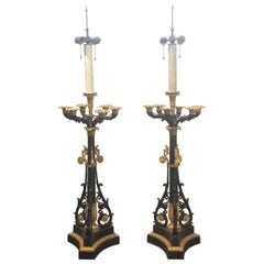 Pair of Patinated and Gilt Bronze Candelabra Lamps, circa 1850s