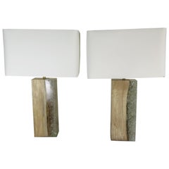 Pair of Wood and Resin Table Lamps