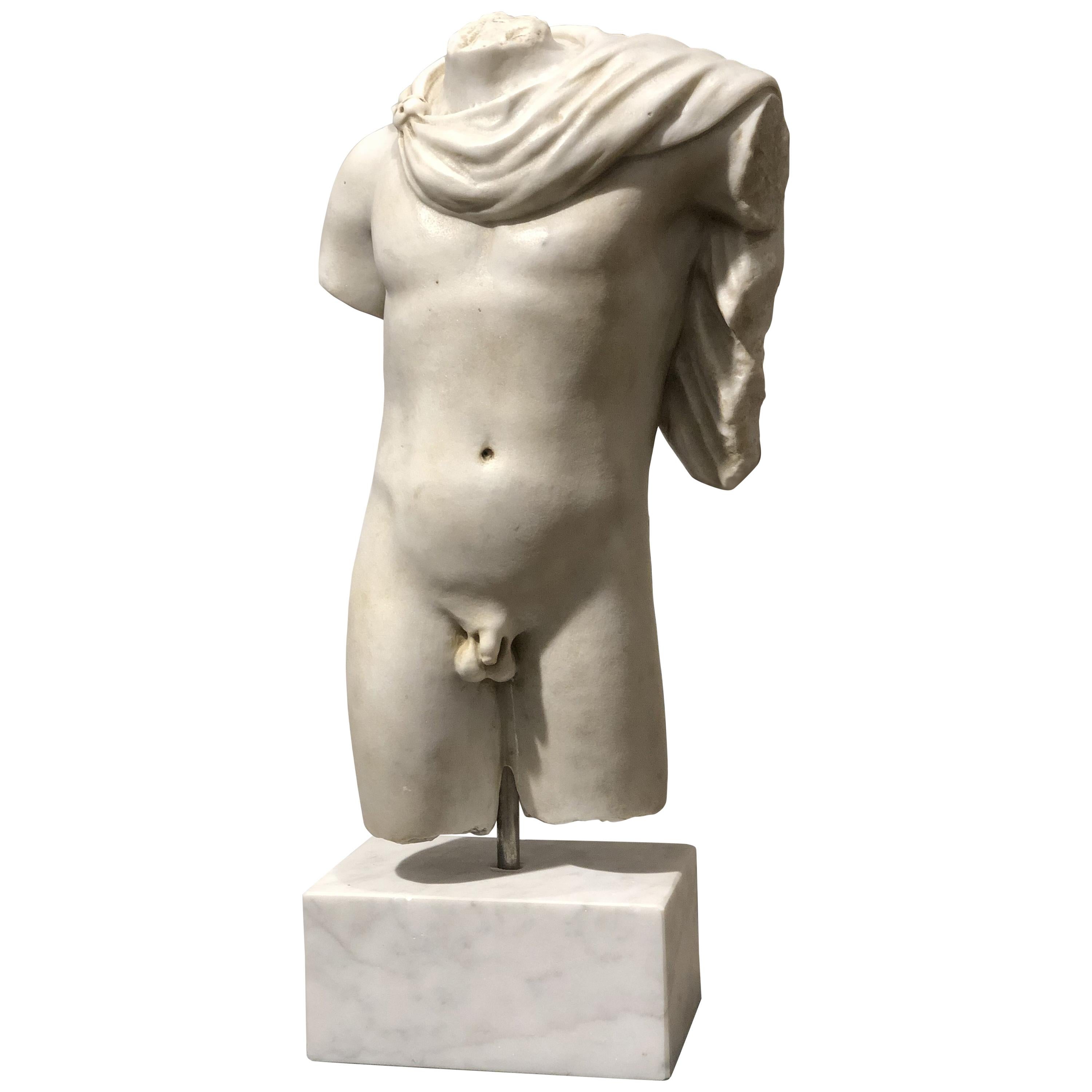 20th Century Italian Marble Sculpture Torso Apollo Belvedere Vatican Museum For Sale