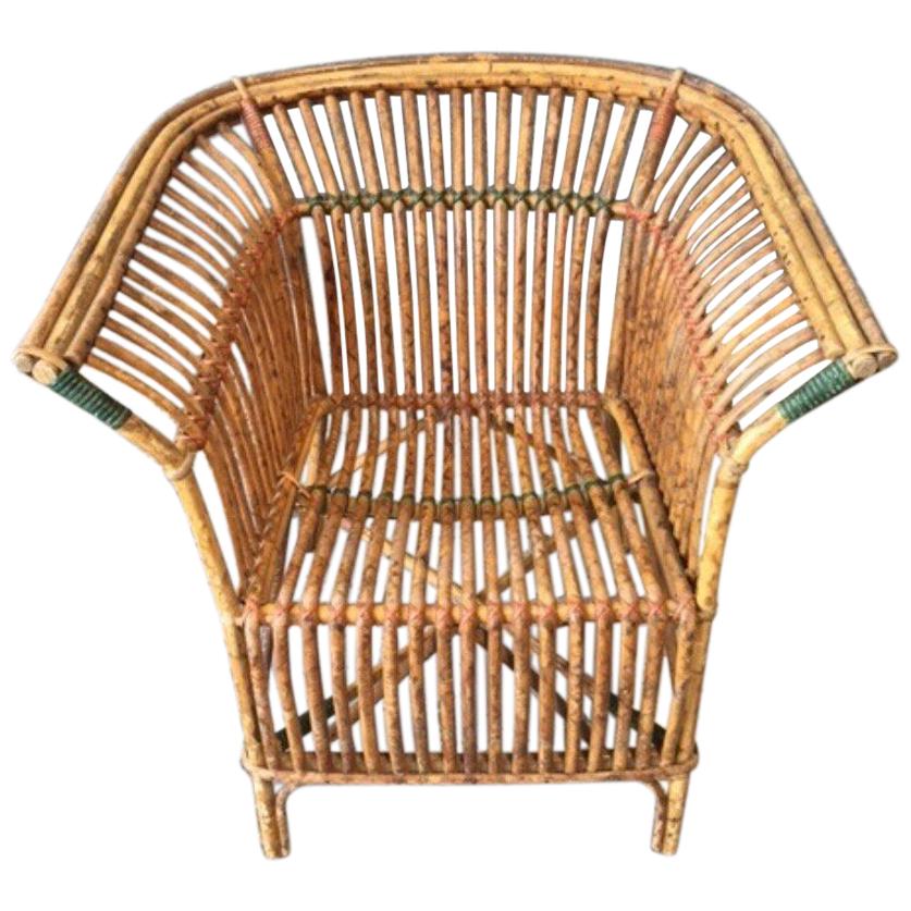 Antique Split Tiger Cane Armchair with Organic Fan Form Lines For Sale
