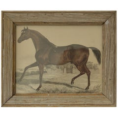 Original Antique Print of a Chestnut Horse, 1847