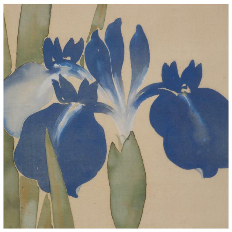 Japan, a brilliant splash of spring awaits you with this attractive composition of a bouquet of Iris' silk hand painted scroll, signed, from the Taisho period. Refreshing and delightful. 
 
Dimensions: 18 inches wide and 46 inches length.

Hand