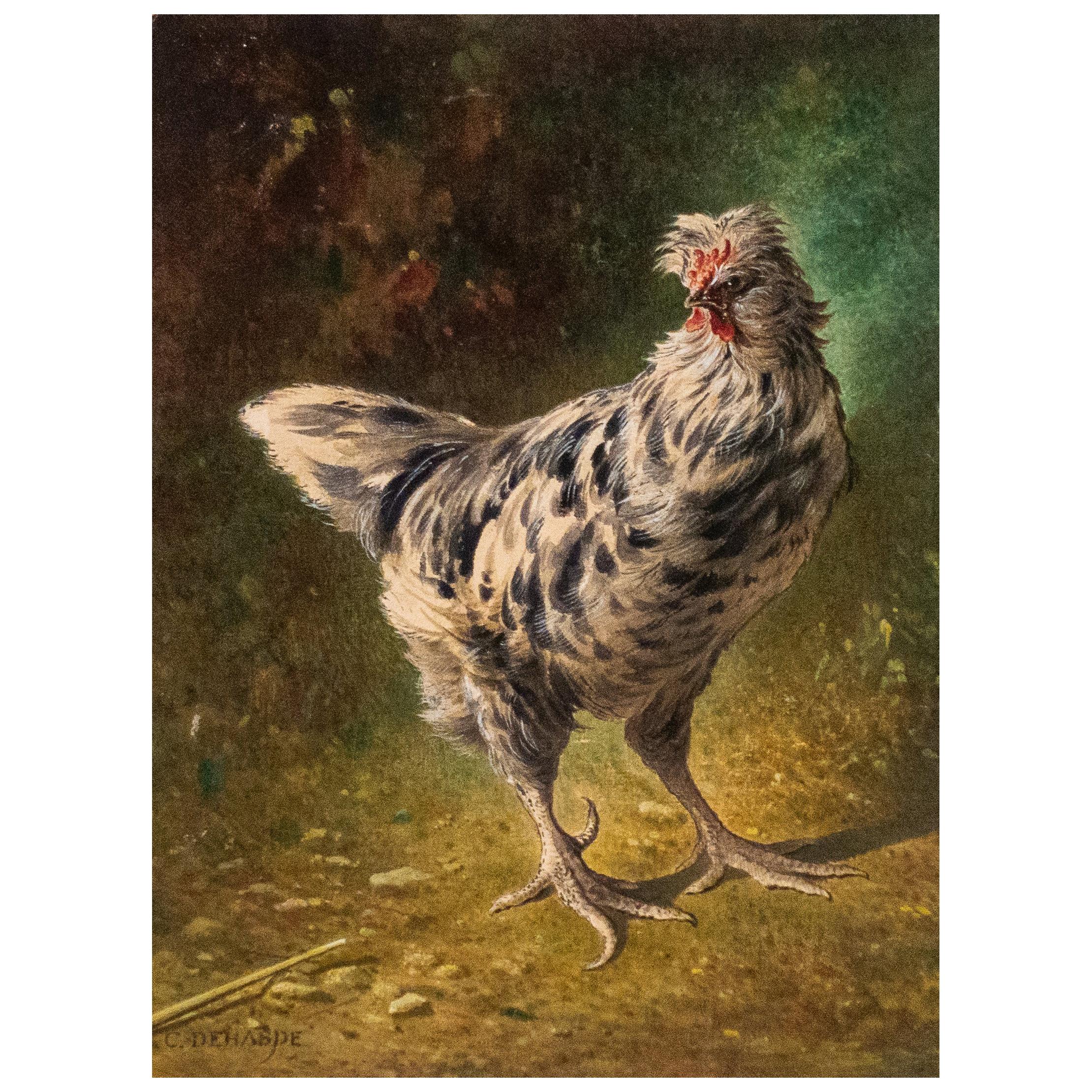 Watercolor Depiction of a Chicken Hen by Francois-Joseph DeHaspe