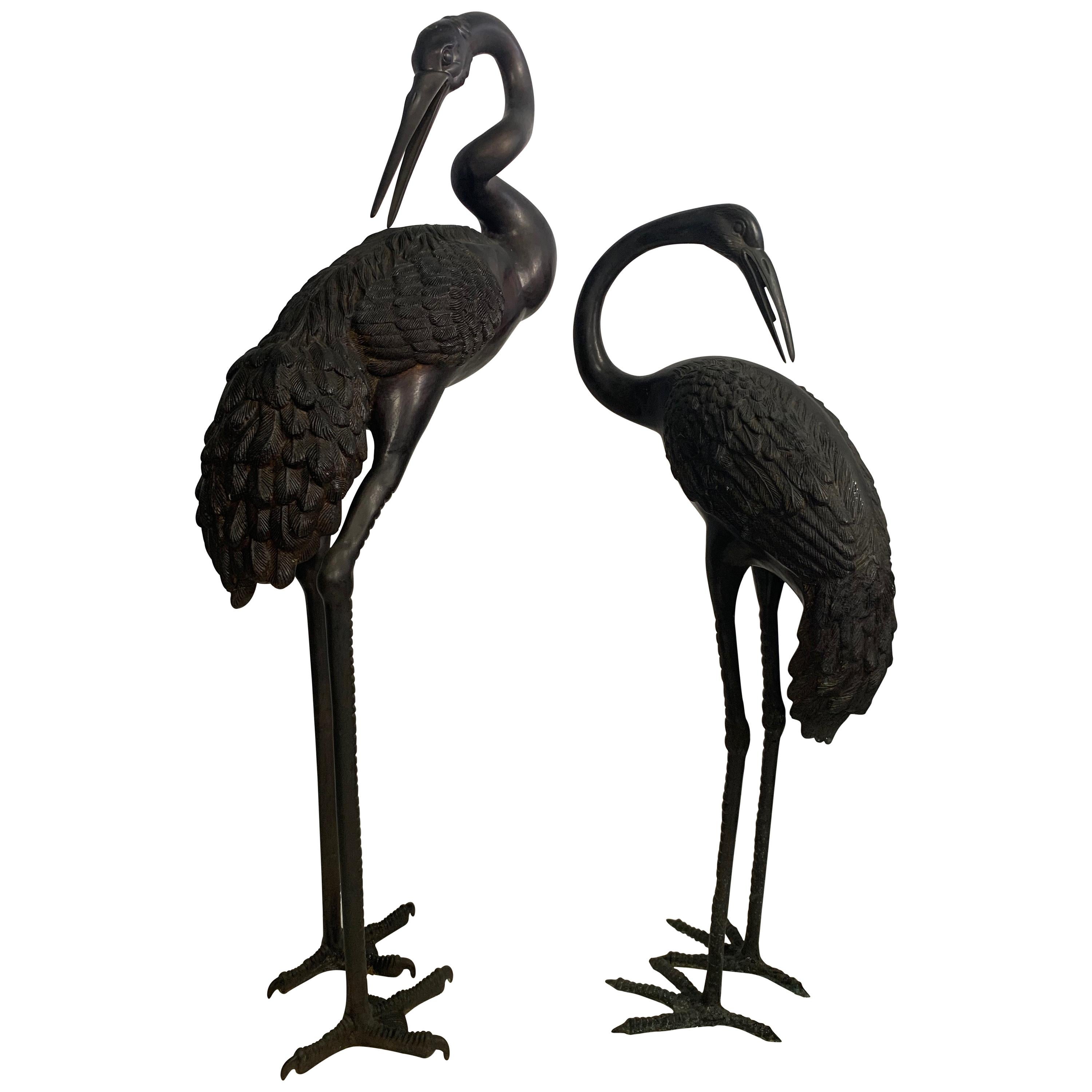 Oriental Cranes For Sale