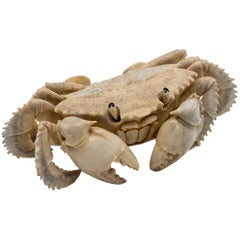 Large and Very Detailed North American Moose Antler Carving of Crab