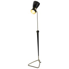 Amy Floor Lamp in Black and Brass
