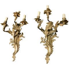 19th Century N. 10 Antiques Gilded Bronze Appliques