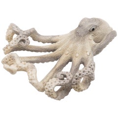 North American Moose Antler Carving of Octopus