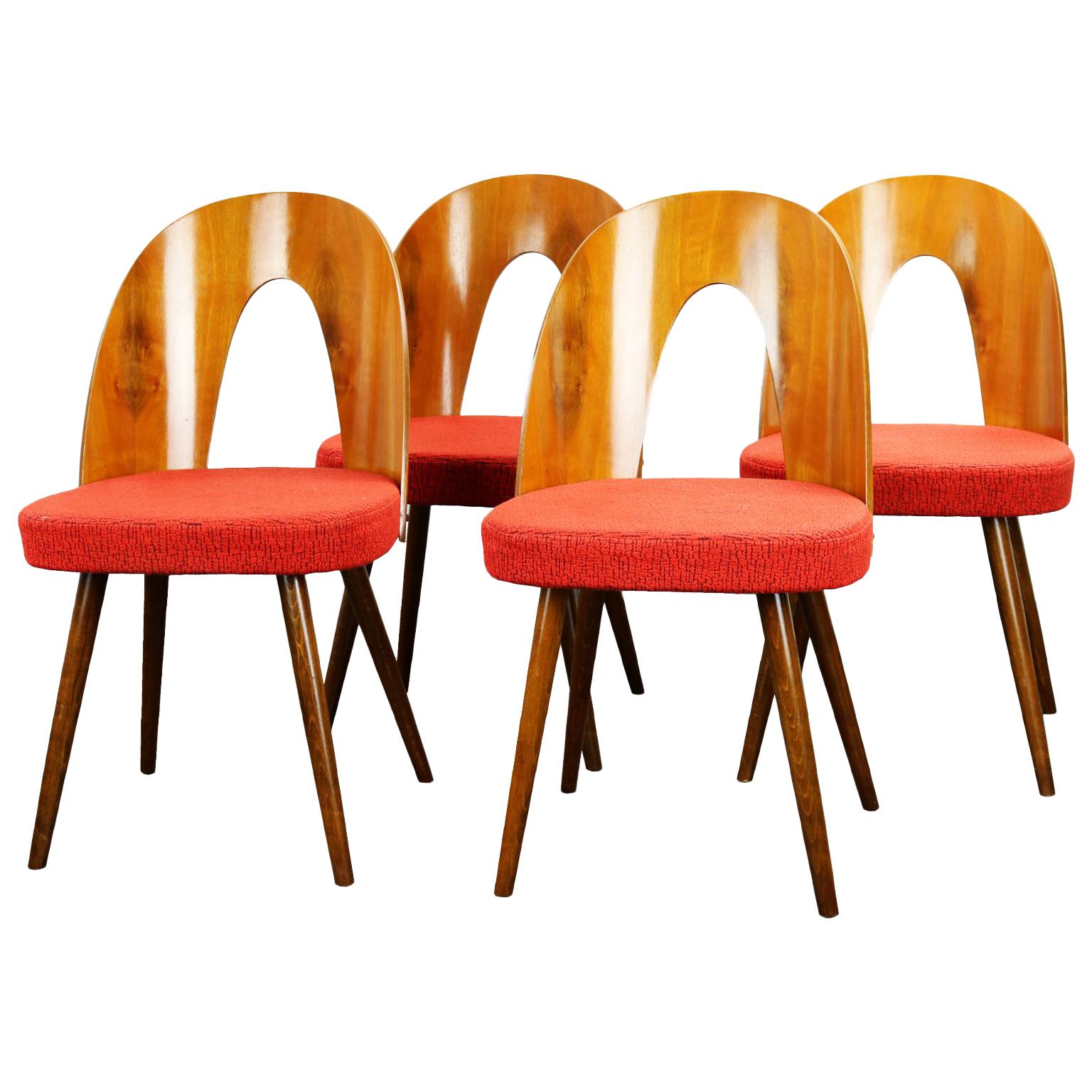 Mid Century Dining Chairs by Antonín Šuman for Tatra Nabytok Np, 1960s