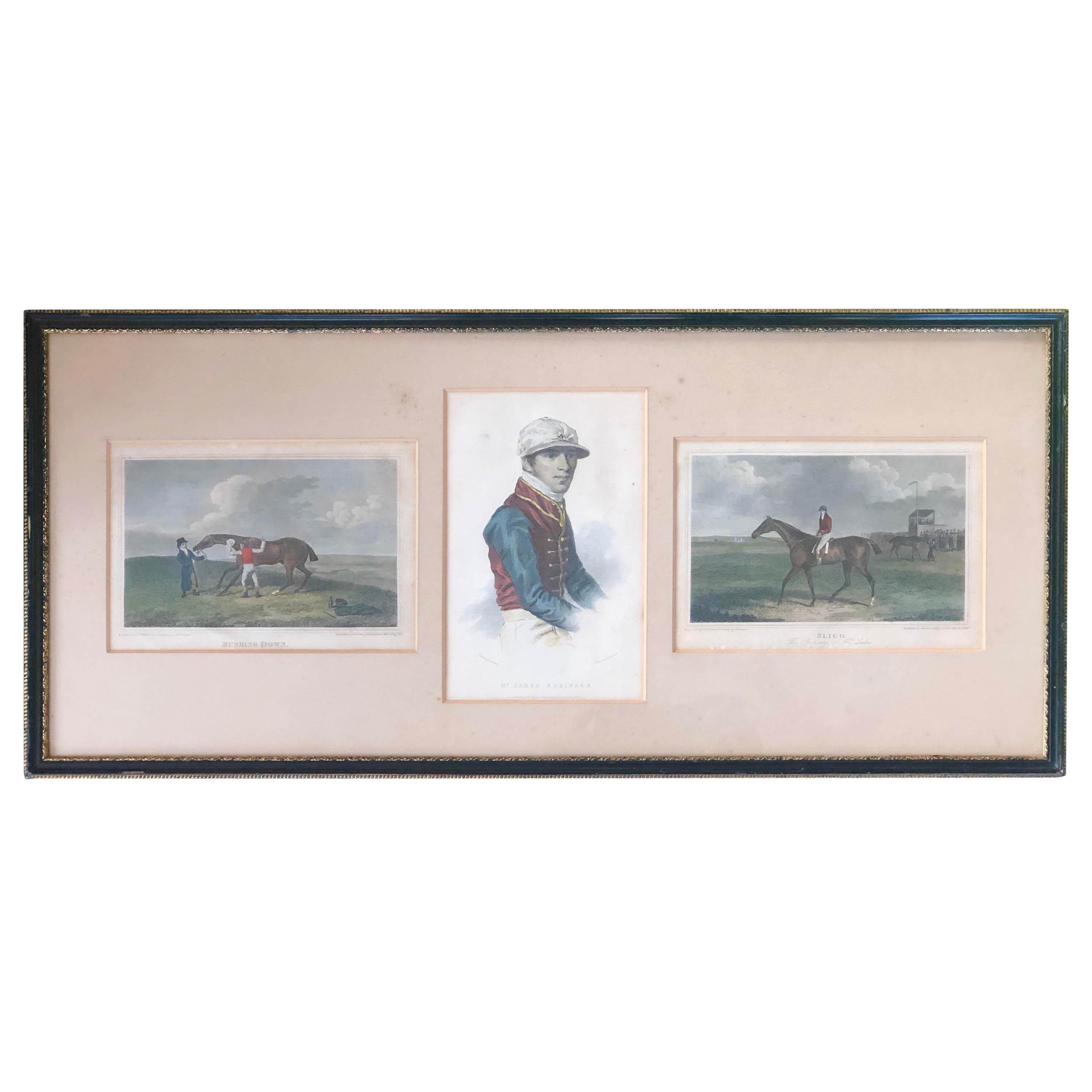 19th Century Set of Three Hand-Coloured Engravings on a Paper, England For Sale