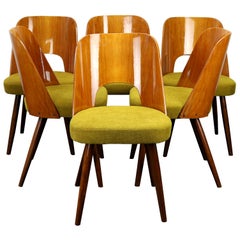 Ensemble de six chaises de salle à manger Mid Century par Oswald Haerdtl pour Ton:: 1950s