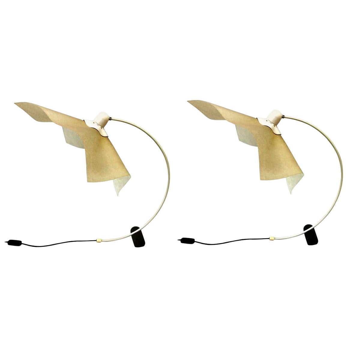 Area Desk Lamp
