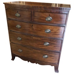 English Regency Bow Front Chest in Light Crotched Mahogany, Brass Ovals