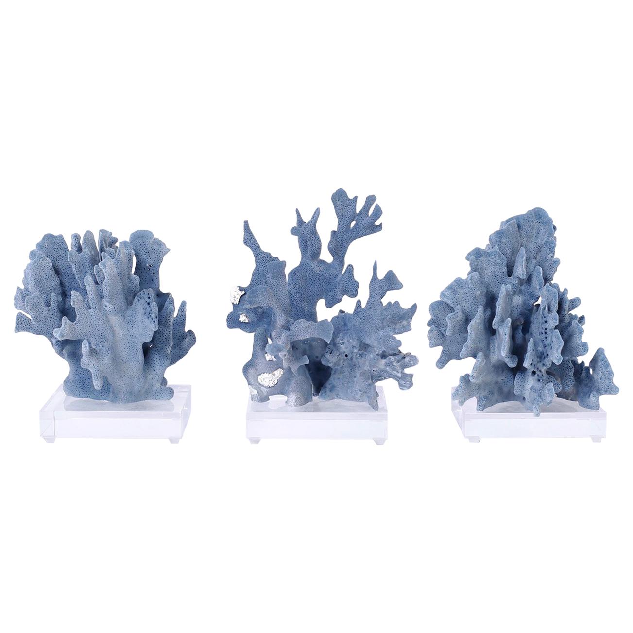 Three Blue Coral Specimens on Lucite