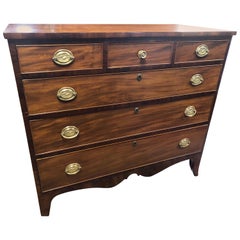 Antique American Federal Hepplewhite Chest in Mahogany with 3 Top Drawers, Eagle Brasses
