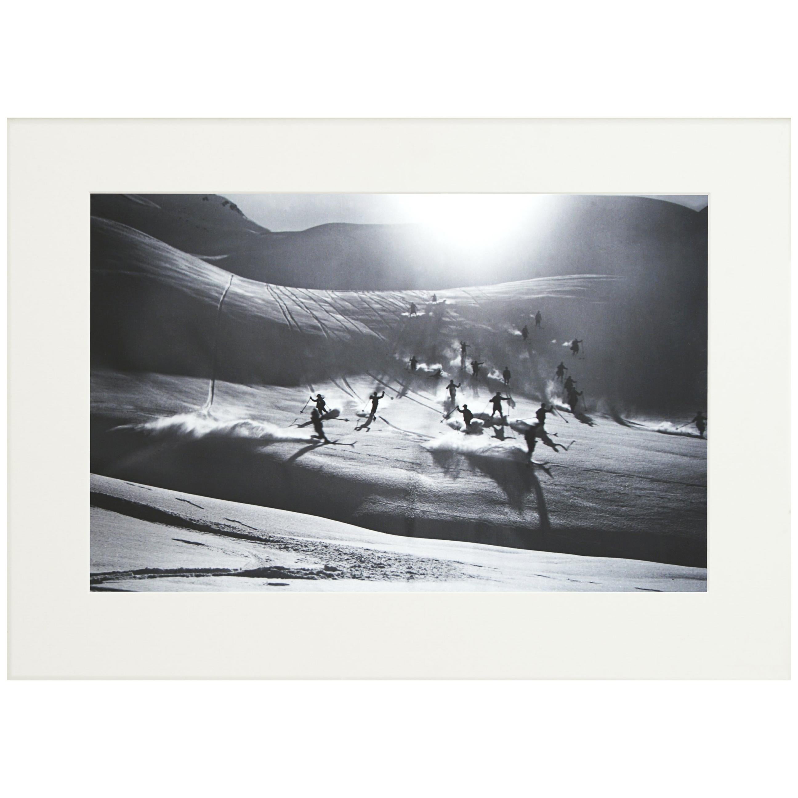 Glowing, Wallpaper from the Nature Collection For Sale at 1stDibs