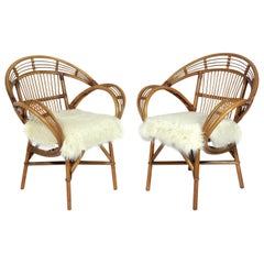 Pair of Curvaceous Rattan Chairs