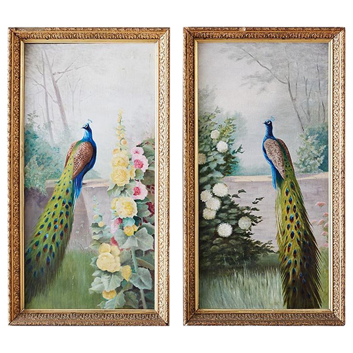 Pair of American School Peacock Paintings, 20th Century