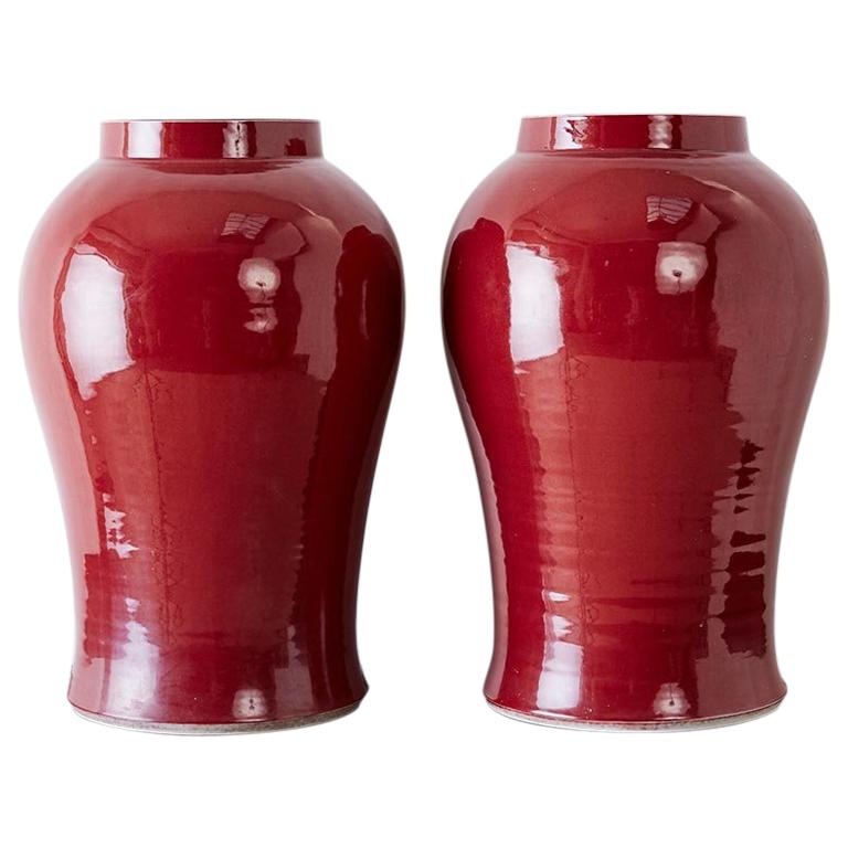 Pair of Chinese Sang de Boeuf Glazed Oxblood Vases