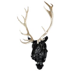 European Gilt Red Deer Stag Head