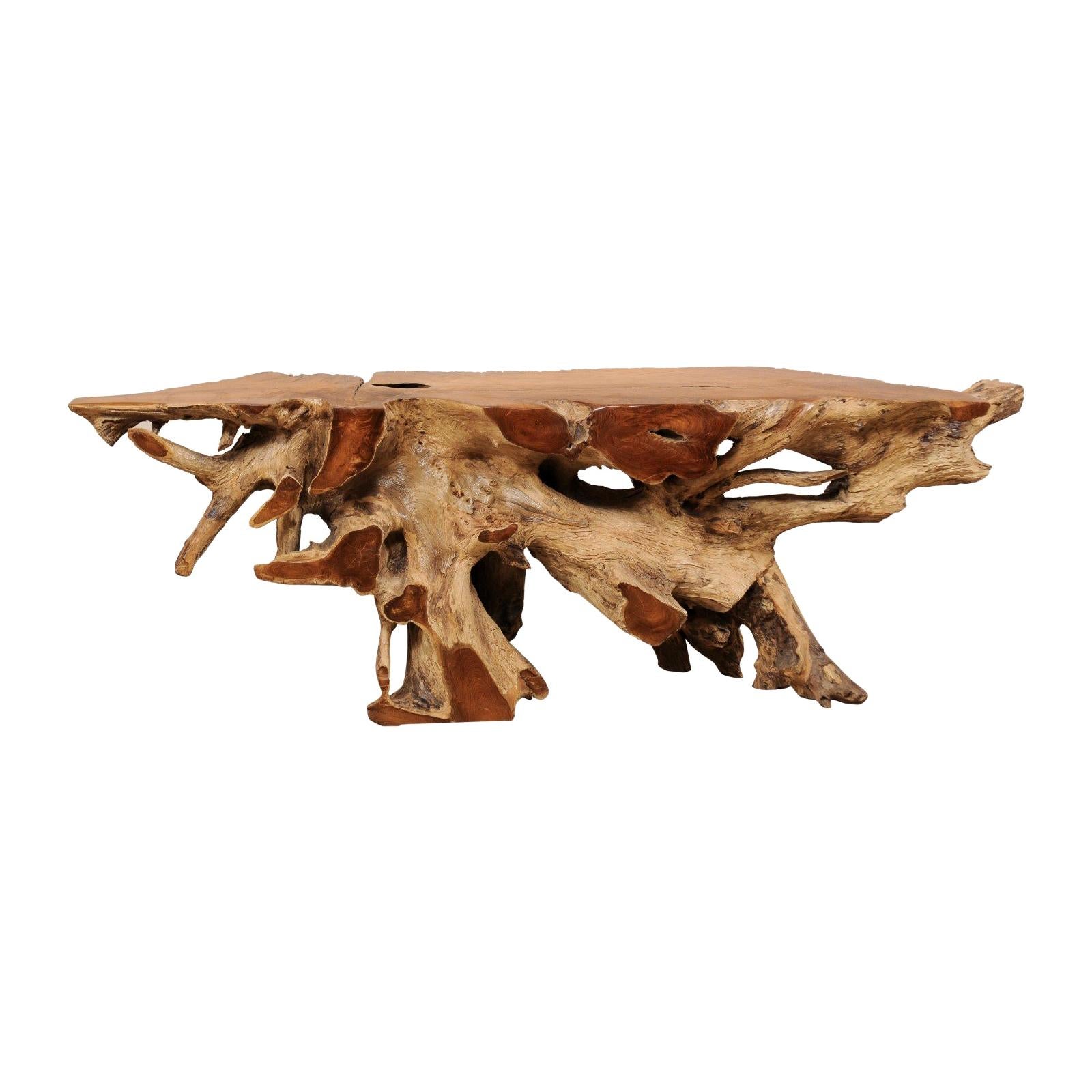 7 Ft. Long Natural Teak Root Console Table, Beautiful Organic Shape!