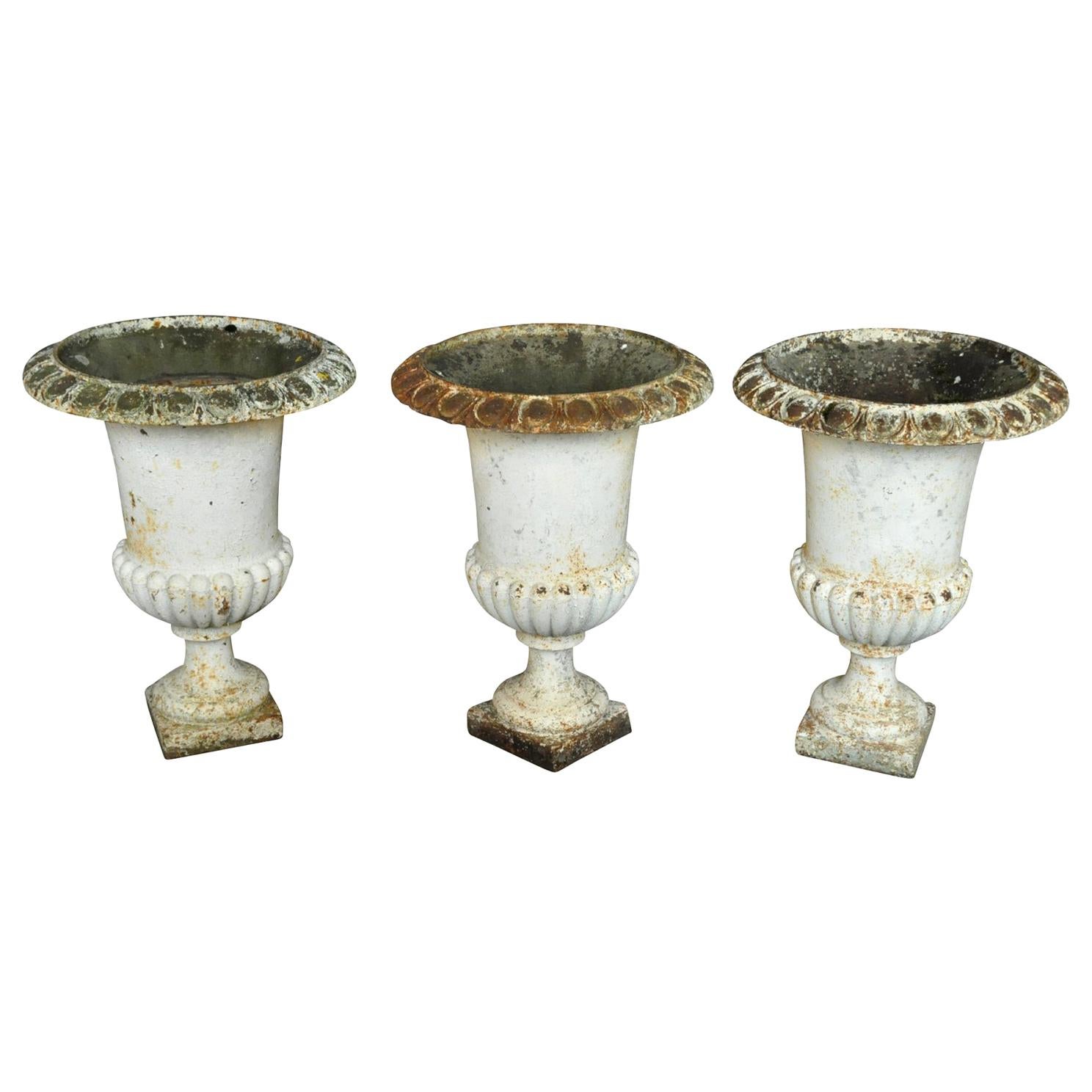 French 19th Century Set of 3 Jardinières 	 For Sale