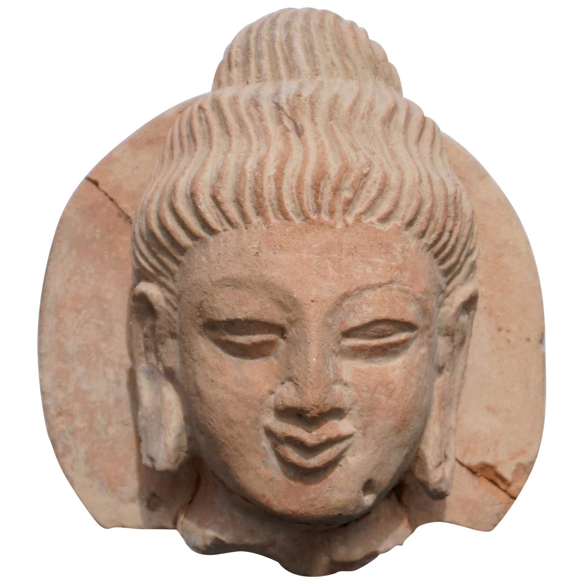 Terrakotta-Gandhara-Buddha-Kopf:: 3.-4. Jahrhundert